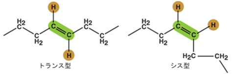 不飽和脂肪酸中の炭素－炭素 二重結合